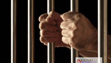 Ilustrasi (Ft : IST)