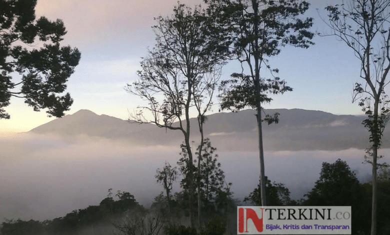 Ilustrasi: Kabut pagi di perbukitan Kampung Nggolo tempat Dei belajar mengenang dan pulang. (Foto: Dok Ahmad Interkini.co)