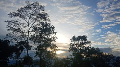 Ilustrasi: Foto dokumentasi pribadi. Digunakan untuk mendukung suasana dalam cerita fiksi.