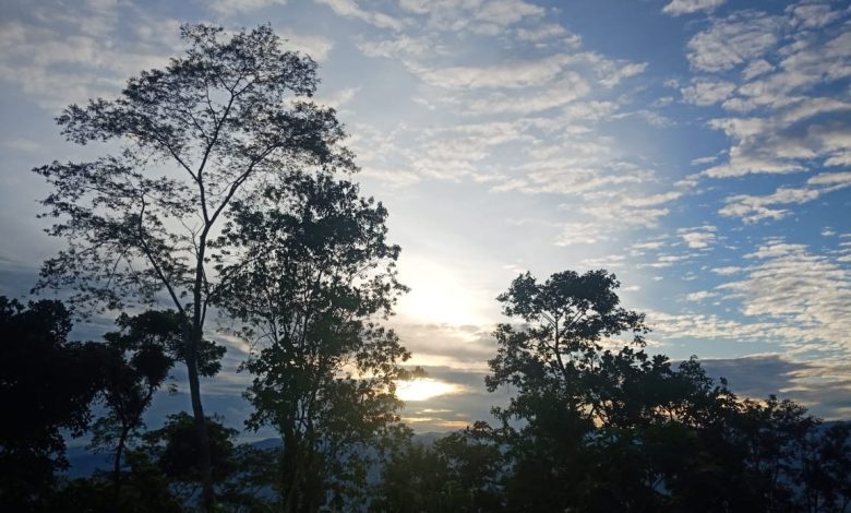 Ilustrasi: Foto dokumentasi pribadi. Digunakan untuk mendukung suasana dalam cerita fiksi.