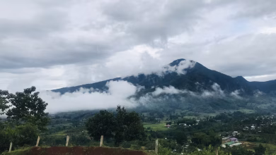 Ilustrasi : Panorama Alam (unsplash)