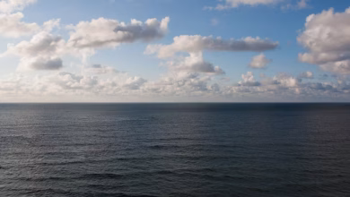 Ilustrasi (Foto: unsplash)