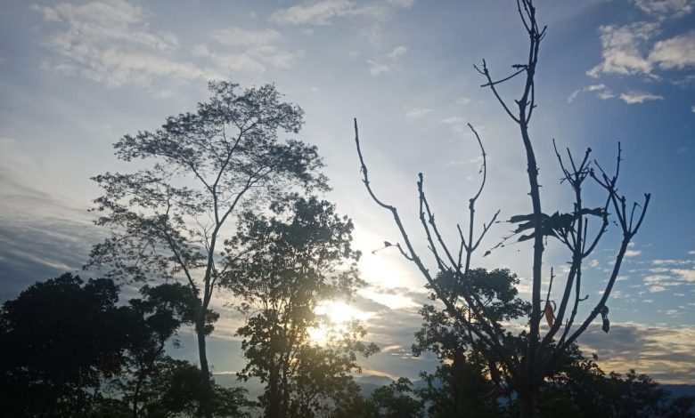 Suasana fajar di jalur pendakian Gunung Gawalise dekat Selter II, dengan siluet pohon dan langit terang yang menandakan matahari terbit.