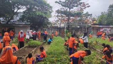 Siswa dan guru SD Negeri 050 Tarakan melakukan kerja bakti membersihkan dan menata kebun sekolah sebagai bagian persiapan Adiwiyata tingkat Provinsi.
