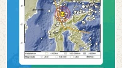 Gempa Magnitudo 5,0 Guncang Palu, Tidak Berpotensi Tsunami. Foto : BMKG