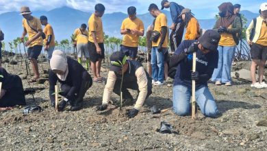 Sutan Raja Hotel dan Villa Palu Tanam 500 Mangrove di Pesisir Mamboro