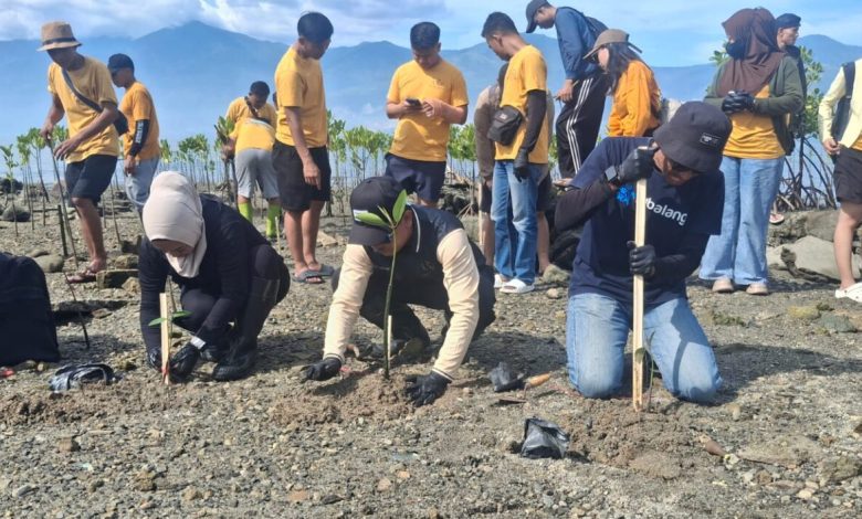 Sutan Raja Hotel dan Villa Palu Tanam 500 Mangrove di Pesisir Mamboro