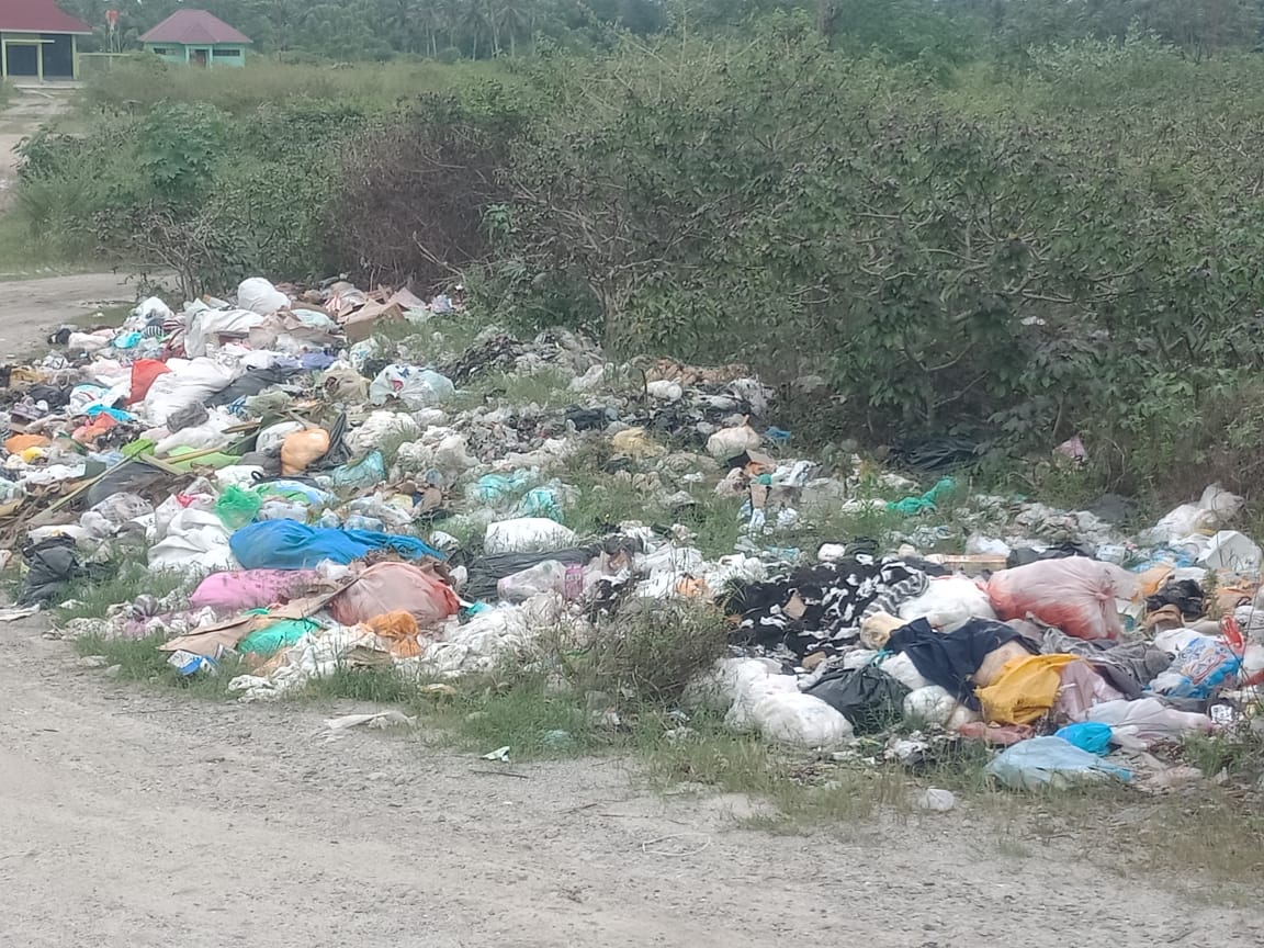 Tumpukan sampah rumah tangga terlihat di ruas jalan penghubung Desa Kota Pulu, Kecamatan Dolo, dan Desa Beka, Kecamatan Marawola, tak jauh dari jembatan penyeberangan. (Foto: INTERKINI.CO)