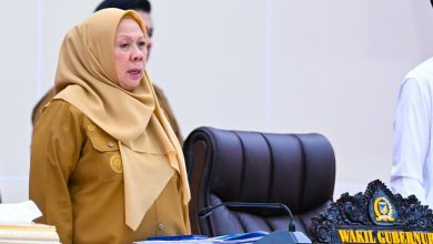 Wakil Gubernur Sulawesi Tengah dr. Reny A. Lamadjido