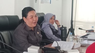 Ketua Pansus II DPRD Sigi Dinie Dewi Mariaty, S.Farm di DPRD Sigi, 21 April 2026.