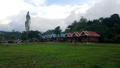 Kondisi 13 cottage Festival Danau Lindu yang sementara direhabilitasi dan ditata ulang menghadap Danau Lindu.