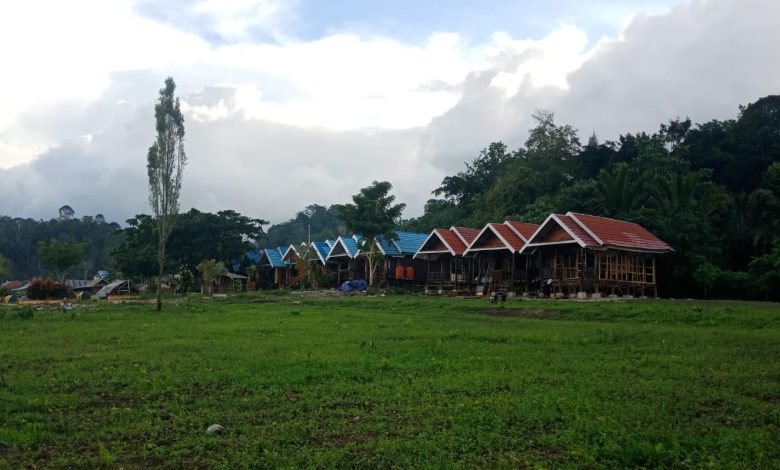 Kondisi 13 cottage Festival Danau Lindu yang sementara direhabilitasi dan ditata ulang menghadap Danau Lindu.