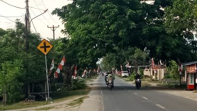 Kondisi Jalan Palu–Kulawi di Kabupaten Sigi. Gubernur Sulawesi Tengah Anwar Hafid menegaskan penanganan Jalan Palu–Kulawi merupakan kewenangan Pemerintah Provinsi Sulawesi Tengah. (Foto: Interkini.co)