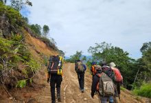 Tim SAR Gabungan berjalan kaki menuju area pencarian korban hanyut di Sungai Lariang, Kabupaten Poso. Derasnya arus sungai membuat pencarian difokuskan melalui jalur darat. (Foto: Humas Basarnas Palu)