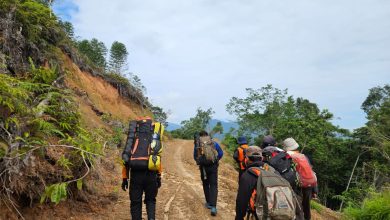 Tim SAR Gabungan berjalan kaki menuju area pencarian korban hanyut di Sungai Lariang, Kabupaten Poso. Derasnya arus sungai membuat pencarian difokuskan melalui jalur darat. (Foto: Humas Basarnas Palu)