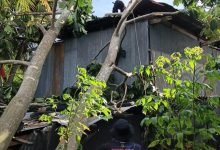 BPBD Sidenreng Rappang membersihkan pohon tumbang yang menimpa rumah warga akibat angin kencang (13/6). Dokumentasi: BPBD Sidenreng Rappang.