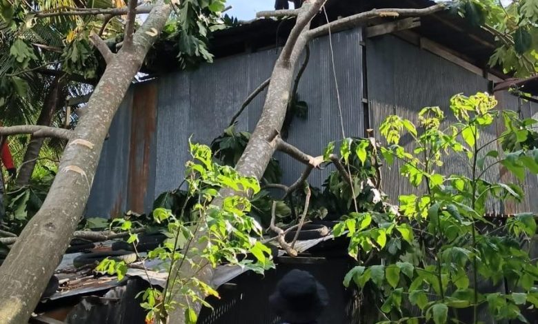 BPBD Sidenreng Rappang membersihkan pohon tumbang yang menimpa rumah warga akibat angin kencang (13/6). Dokumentasi: BPBD Sidenreng Rappang.