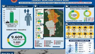Infografis BPBD Kabupaten Sigi menampilkan perkembangan data dampak gempa bumi hingga hari ke-8 masa tanggap darurat, meliputi jumlah warga terdampak, kerusakan rumah, fasilitas umum terdampak, serta aktivitas gempa susulan per 23 Juni 2026.