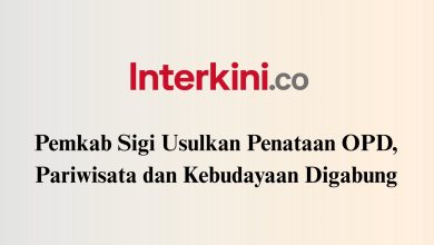 Ilustrasi penataan OPD di Kabupaten Sigi. Pemkab mengusulkan penggabungan urusan pariwisata dan kebudayaan melalui Raperda perubahan susunan perangkat daerah.