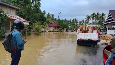 Banjir merendam permukiman warga di Desa Kalombang, Kecamatan Bungku Utara, Kabupaten Morowali Utara, Sulawesi Tengah, Jumat (24/7/2026), setelah hujan deras di wilayah hulu Sungai Siombo dan Sungai Parigi memicu luapan air. BNPB mencatat 203 kepala keluarga atau 504 jiwa terdampak dalam peristiwa tersebut. (Foto: BPBD Kabupaten Morowali Utara)