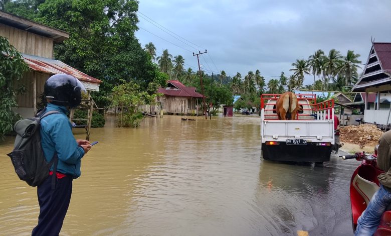 Banjir merendam permukiman warga di Desa Kalombang, Kecamatan Bungku Utara, Kabupaten Morowali Utara, Sulawesi Tengah, Jumat (24/7/2026), setelah hujan deras di wilayah hulu Sungai Siombo dan Sungai Parigi memicu luapan air. BNPB mencatat 203 kepala keluarga atau 504 jiwa terdampak dalam peristiwa tersebut. (Foto: BPBD Kabupaten Morowali Utara)
