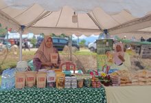 Pelaku UMKM binaan Pemerintah Kabupaten Sigi menjaga stan produk lokal pada Festival Danau Lindu (FDL) 2026 di kawasan Danau Lindu, Kabupaten Sigi. Sejumlah pelaku usaha menilai festival membantu memperluas pemasaran produk, namun berharap kualitas jaringan telekomunikasi ditingkatkan untuk mendukung transaksi digital pada penyelenggaraan berikutnya. Foto: Interkini.co