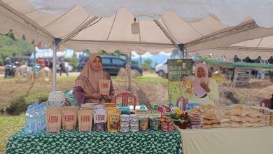 Pelaku UMKM binaan Pemerintah Kabupaten Sigi menjaga stan produk lokal pada Festival Danau Lindu (FDL) 2026 di kawasan Danau Lindu, Kabupaten Sigi. Sejumlah pelaku usaha menilai festival membantu memperluas pemasaran produk, namun berharap kualitas jaringan telekomunikasi ditingkatkan untuk mendukung transaksi digital pada penyelenggaraan berikutnya. Foto: Interkini.co