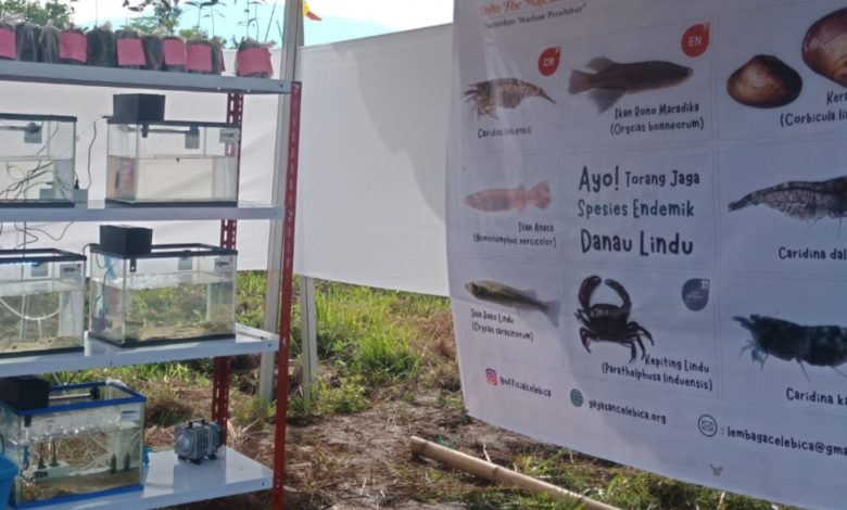 Stan Yayasan Aksi Konservasi Celebica menampilkan mini laboratorium pengembangbiakan ikan endemik serta informasi delapan spesies endemik Danau Lindu pada Festival Danau Lindu di Kecamatan Lindu, Kabupaten Sigi. (Foto: Interkini.co)