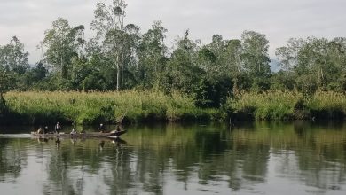 Danau Lindu di Kabupaten Sigi, Sulawesi Tengah, habitat alami delapan spesies endemik yang hanya ditemukan di kawasan ini.
