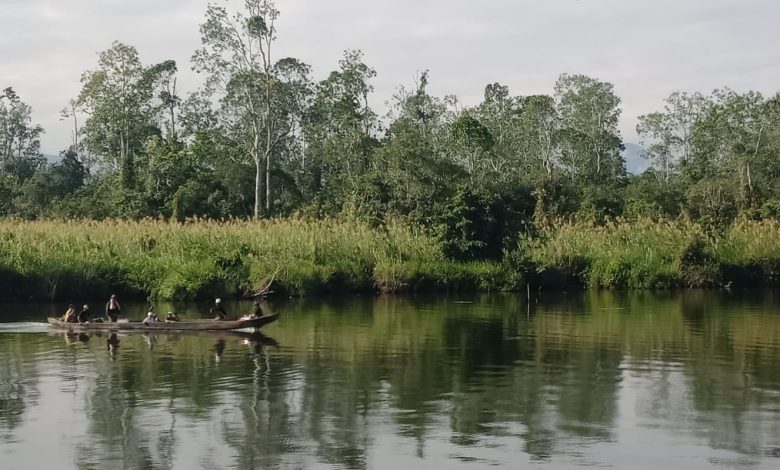 Danau Lindu di Kabupaten Sigi, Sulawesi Tengah, habitat alami delapan spesies endemik yang hanya ditemukan di kawasan ini.
