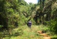 Survey jalur lokasi Trail Run Perbatasan 2026 dari Patok 1 hingga Patok 7. (Foto: Arsip Panitia)