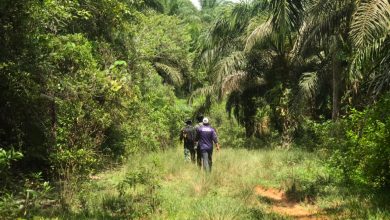 Survey jalur lokasi Trail Run Perbatasan 2026 dari Patok 1 hingga Patok 7. (Foto: Arsip Panitia)