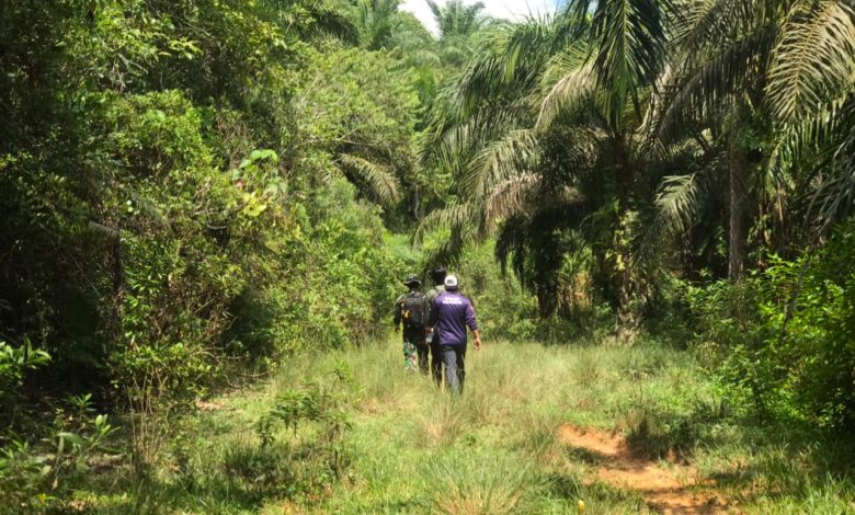 Survey jalur lokasi Trail Run Perbatasan 2026 dari Patok 1 hingga Patok 7. (Foto: Arsip Panitia)