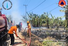 Tim gabungan memadamkan kebakaran lahan di Kecamatan Paleteang dan Watang Sawitto, Kabupaten Pinrang, Sulawesi Selatan, Selasa (15/9). Foto: BPBD Kabupaten Pinrang