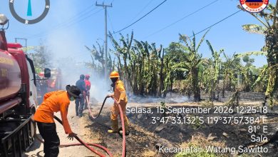 Tim gabungan memadamkan kebakaran lahan di Kecamatan Paleteang dan Watang Sawitto, Kabupaten Pinrang, Sulawesi Selatan, Selasa (15/9). Foto: BPBD Kabupaten Pinrang