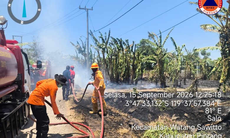 Tim gabungan memadamkan kebakaran lahan di Kecamatan Paleteang dan Watang Sawitto, Kabupaten Pinrang, Sulawesi Selatan, Selasa (15/9). Foto: BPBD Kabupaten Pinrang